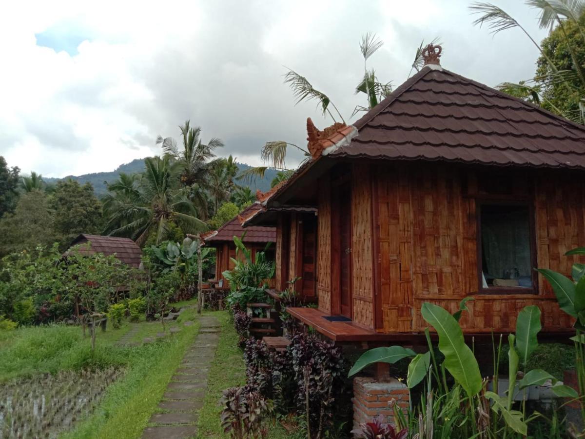 Puri Sunny Camp Villa Munduk  Ngoại thất bức ảnh
