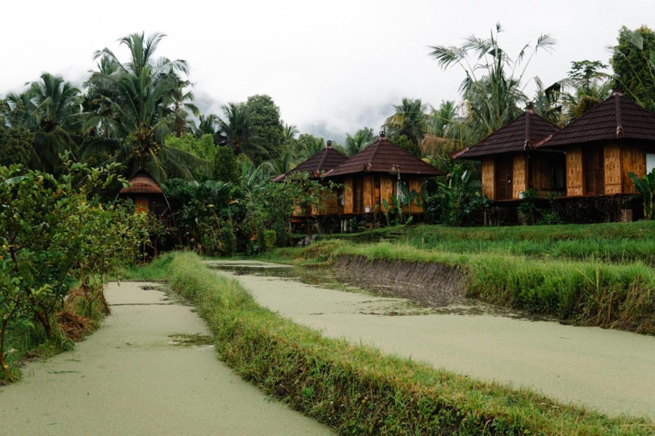Puri Sunny Camp Villa Munduk  Ngoại thất bức ảnh