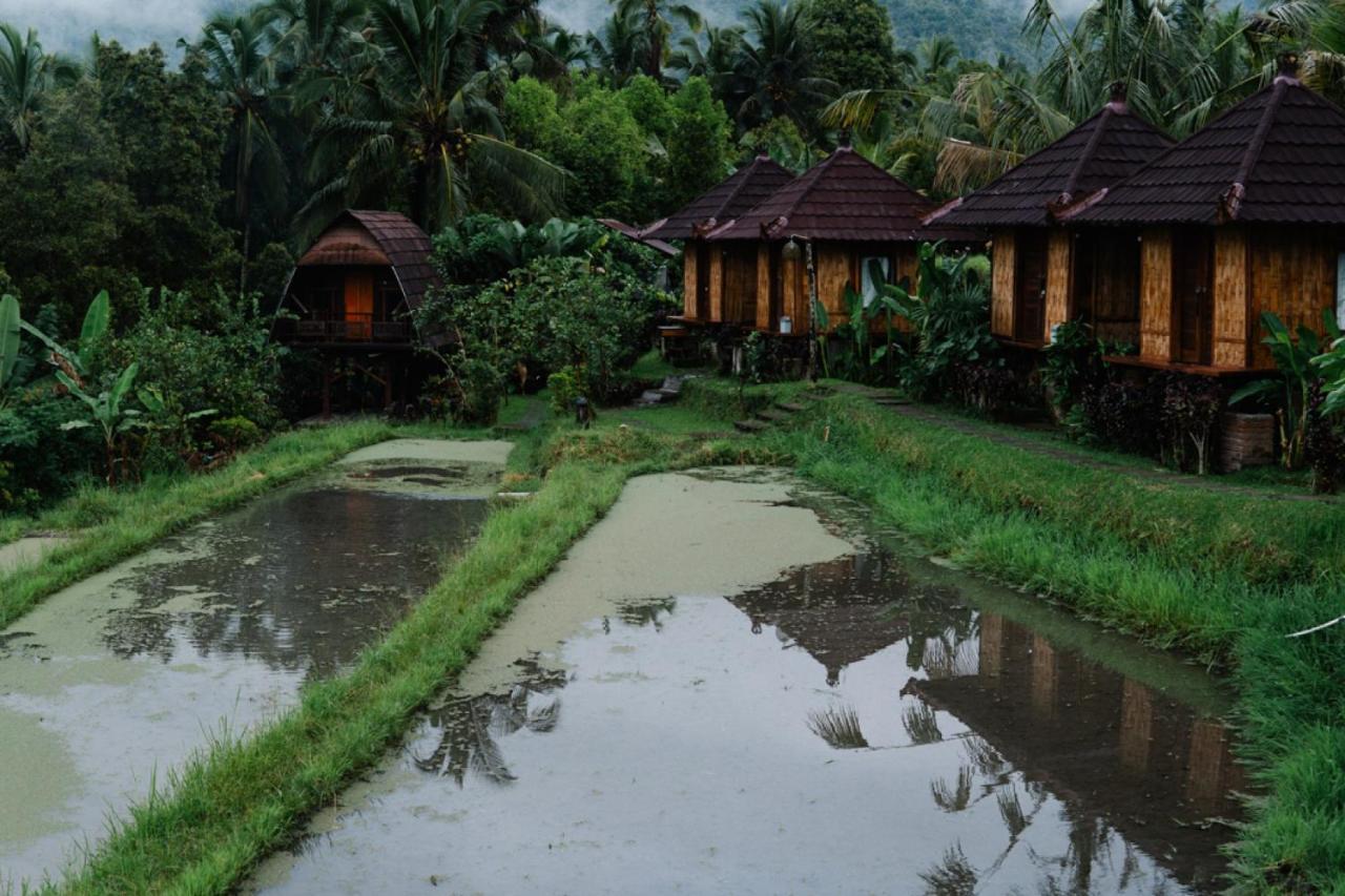 Puri Sunny Camp Villa Munduk  Ngoại thất bức ảnh