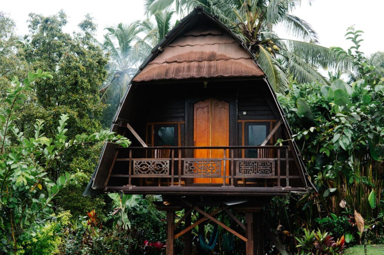 Puri Sunny Camp Villa Munduk  Ngoại thất bức ảnh