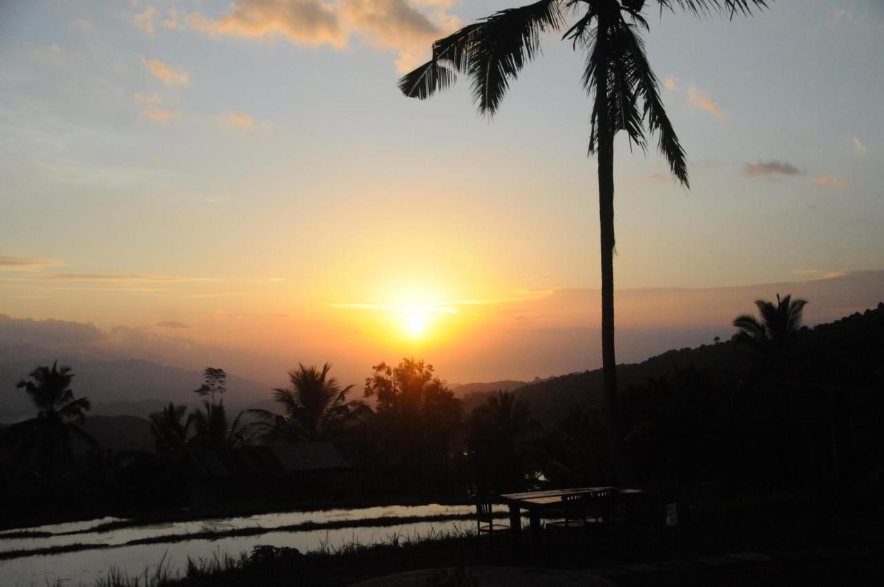 Puri Sunny Camp Villa Munduk  Ngoại thất bức ảnh