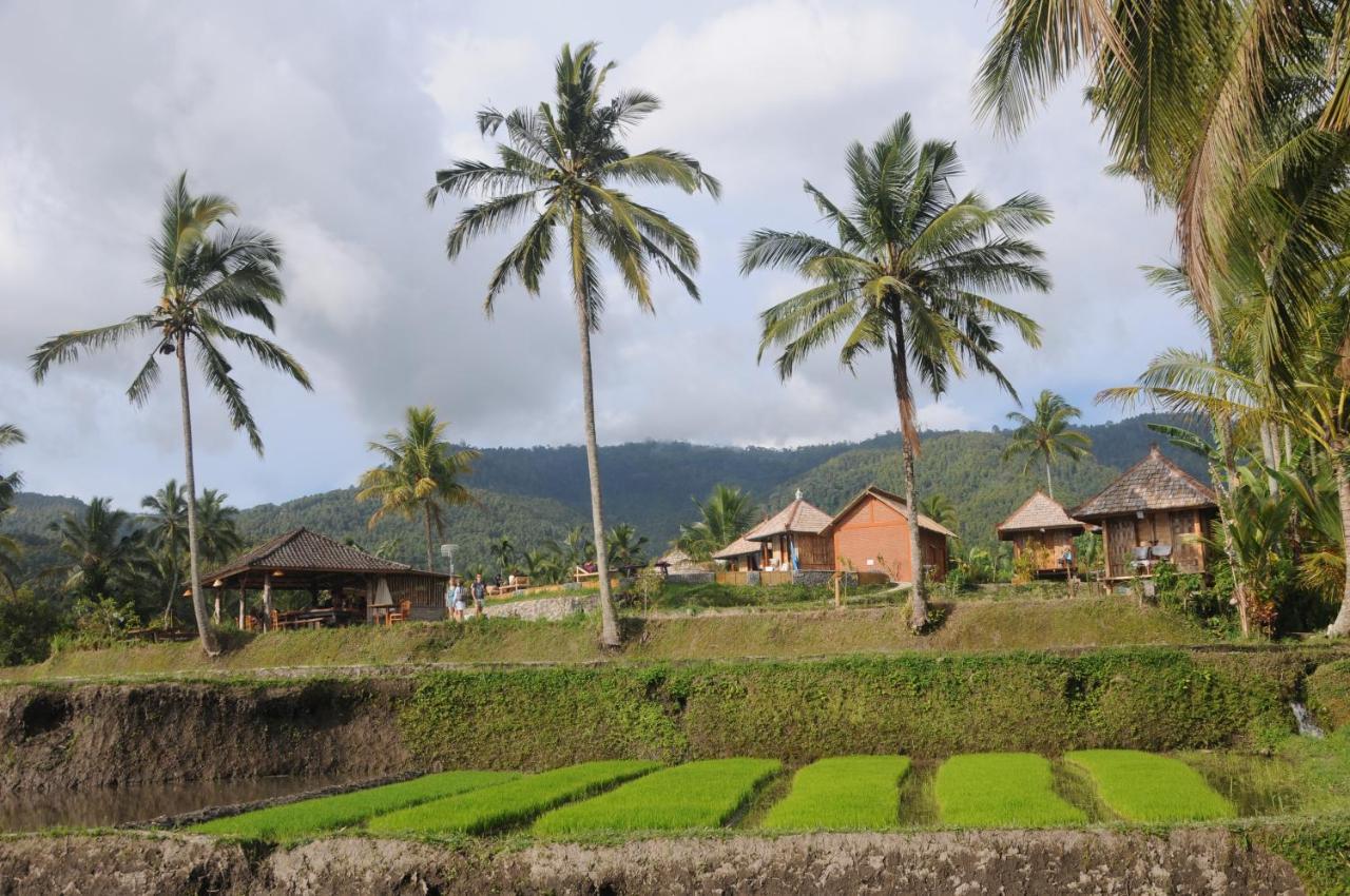 Puri Sunny Camp Villa Munduk  Ngoại thất bức ảnh