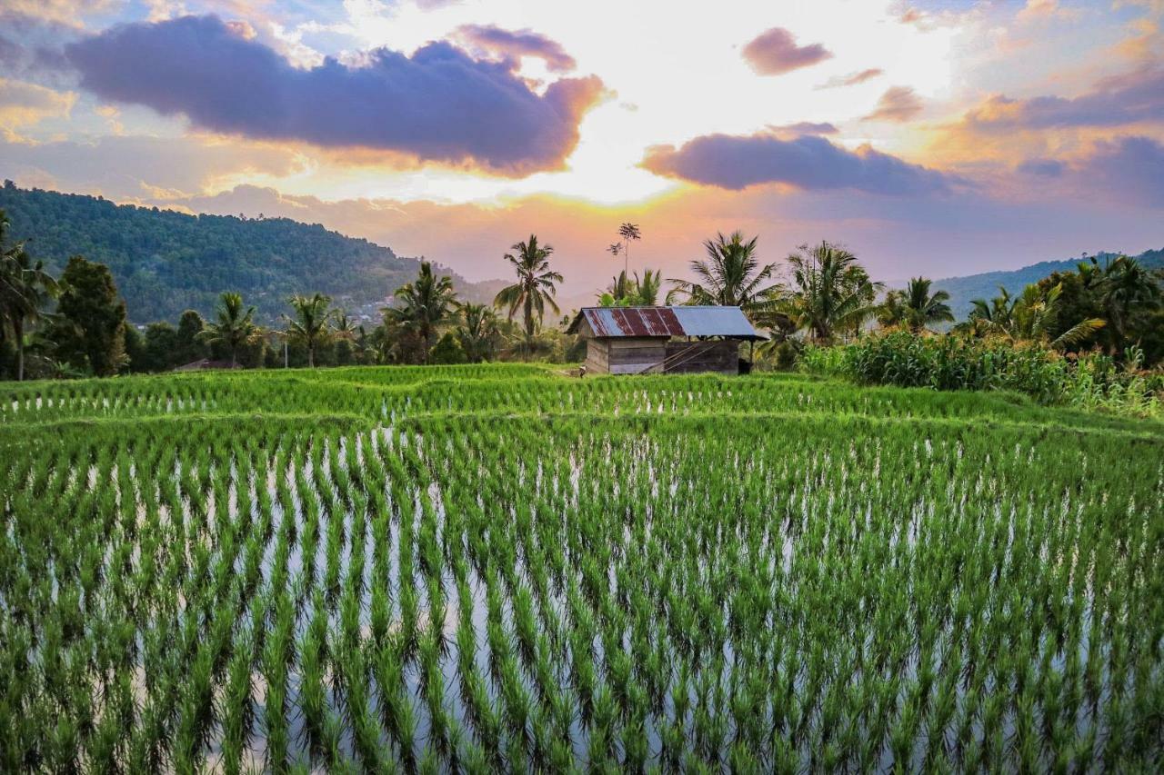 Puri Sunny Camp Villa Munduk  Ngoại thất bức ảnh