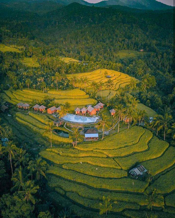 Puri Sunny Camp Villa Munduk  Ngoại thất bức ảnh
